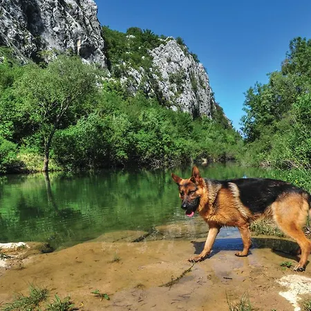 Stunning In Brdo With Sauna * Kresevo